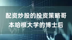 配资炒股的投资策略哥本哈根大学的博士后
