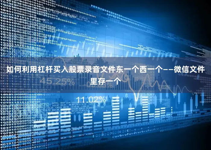 如何利用杠杆买入股票录音文件东一个西一个——微信文件里存一个