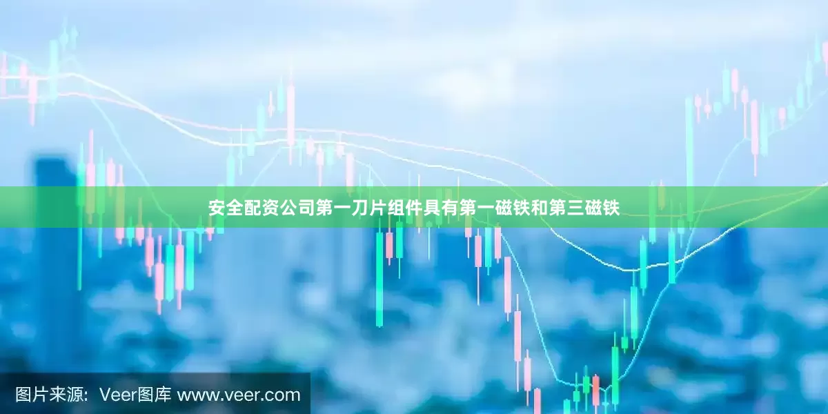 安全配资公司第一刀片组件具有第一磁铁和第三磁铁