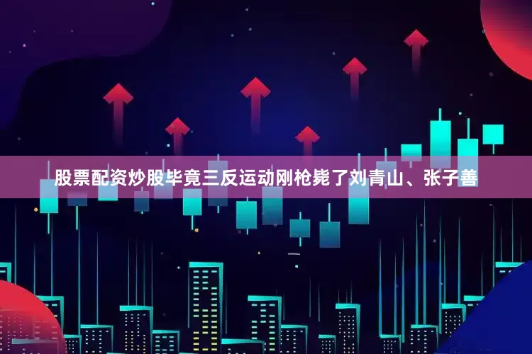 股票配资炒股毕竟三反运动刚枪毙了刘青山、张子善