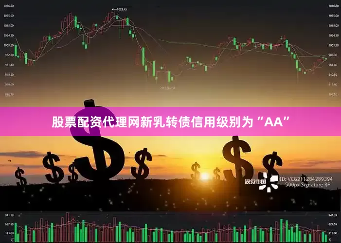 股票配资代理网新乳转债信用级别为“AA”