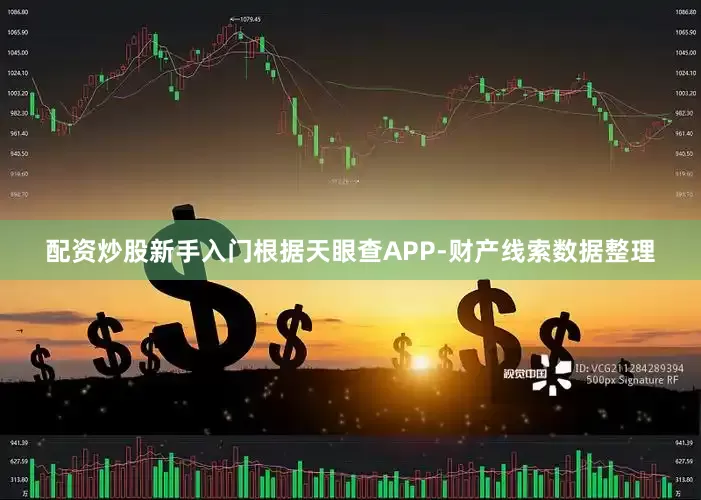 配资炒股新手入门根据天眼查APP-财产线索数据整理